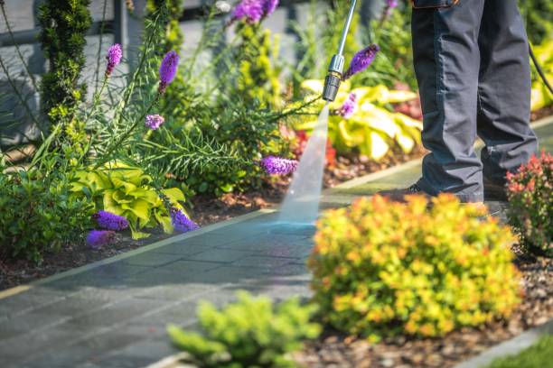 Trusted New Haven, IN  Pressure Washing Services Experts
